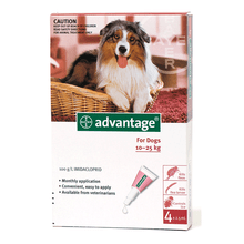 Advantage 250 Spot on For Large Dogs 10-25kg (22-55lbs) Red, 4 Pack