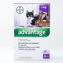 Advantage (púrpura) para gatos grandes de más de 4 kg (8,8 lb)